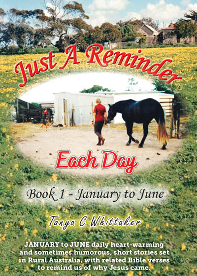 Just A Reminder - Each Day (Book 1)